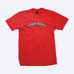 Men DGK Ashes To Ashes T-Shirt