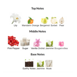 The Santorini Bundle I Oxana Sugar By AMARAN Eau De Parfum 3.4 FL OZ I Layl Al Yasmeen By Zakat Pure Concentrated Oil 20ML FL For Women
