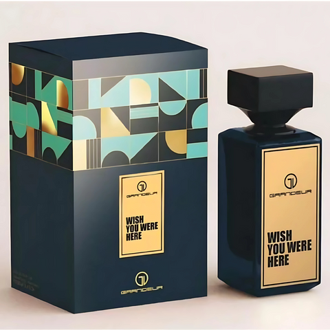 Men Wish You Were Here By Grandeur 3.4 EDP PERFUME