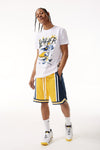 Men JORDAN CRAIG Rucker Basketball Shorts 3.0 Wolverines