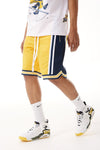 Men JORDAN CRAIG Rucker Basketball Shorts 3.0 Wolverines