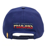 Men PRO STANDARD New Orleans Pelicans Snapback