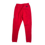 Men PRO STANDARD Chicago Bulls Logo Sweat Pant