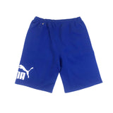 Men PUMA Big Fleece Logo 10 Short