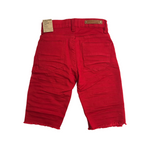 Kid's EVOLUTION IN DESIGN Ripped Down Twill Short